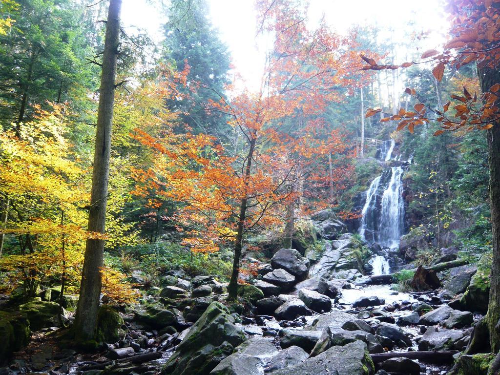 Luxe 13 Personnes Sauna Vosges-gerardmer Le Tholy