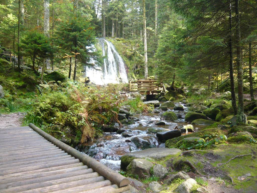 Luxe 12 Personnes Sauna Vosges-gerardmer Holiday home Le Tholy