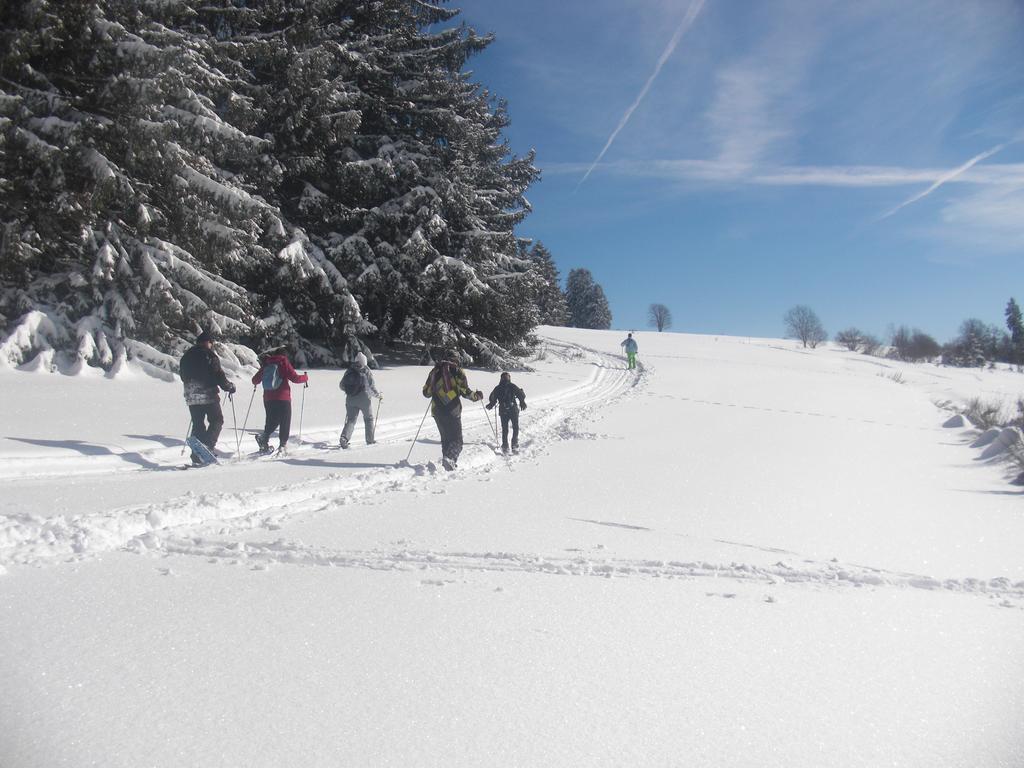 Holiday home Luxe 12 Personnes Sauna Vosges-gerardmer