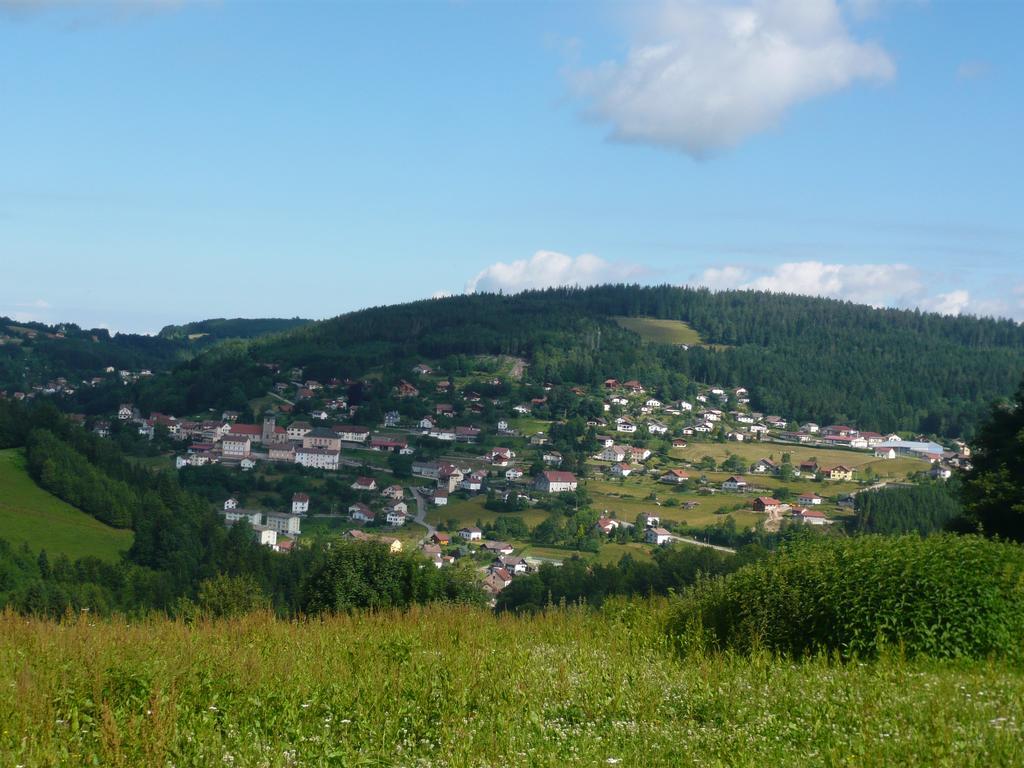Luxe 12 Personnes Sauna Vosges-gerardmer Holiday home Le Tholy
