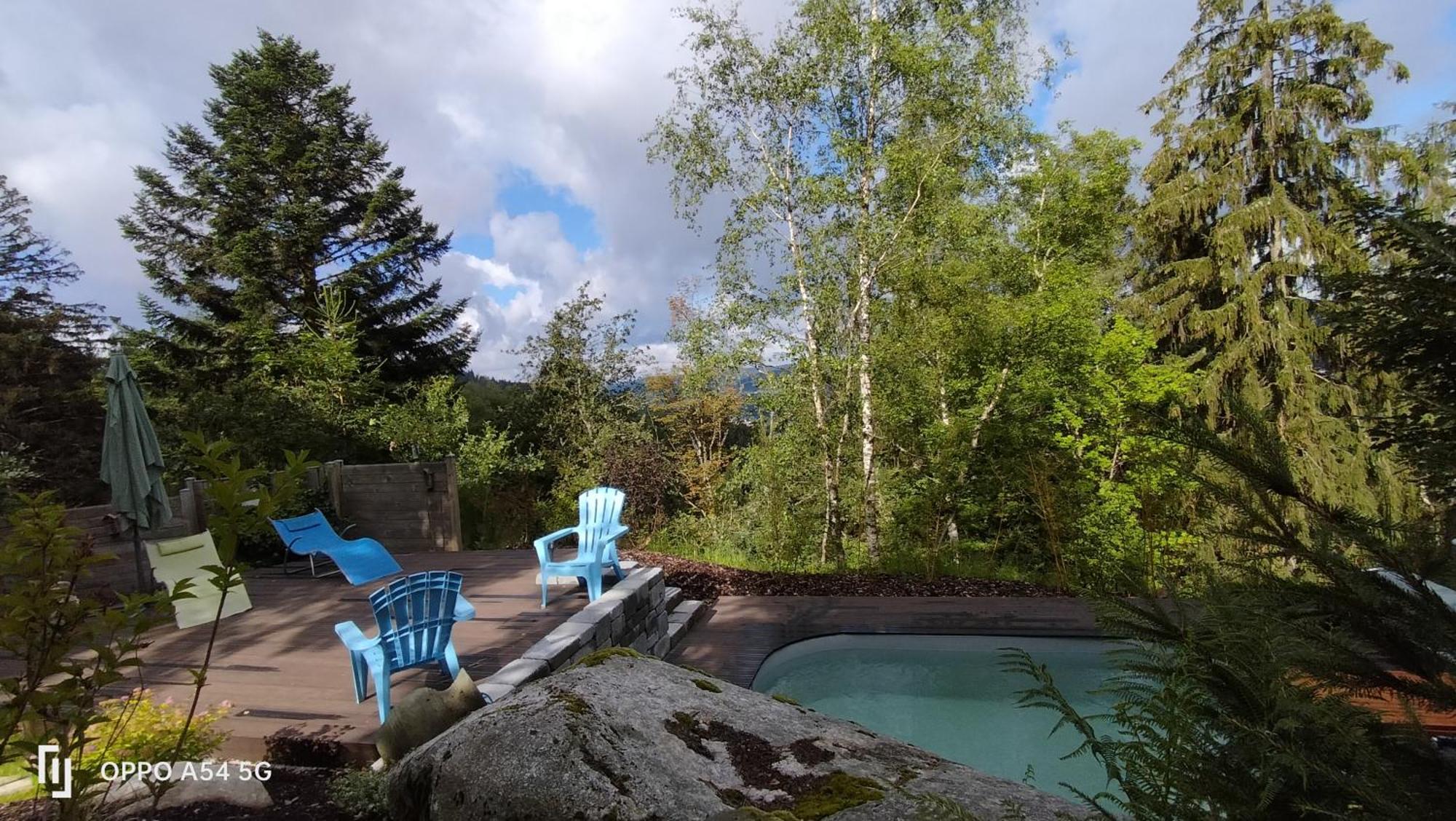 Holiday home Luxe 12 Personnes Sauna Vosges-gerardmer