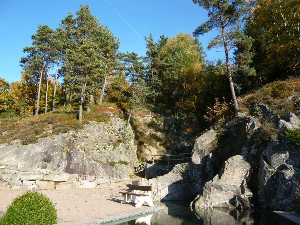 Luxe 12 Personnes Sauna Vosges-gerardmer Holiday home *