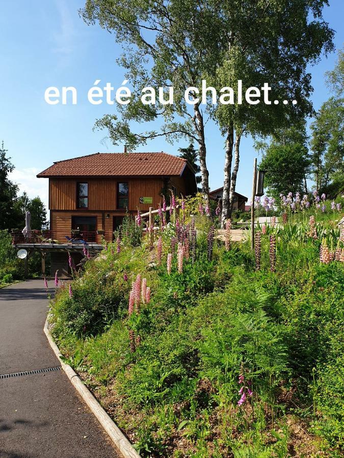 Holiday home Luxe 12 Personnes Sauna Vosges-gerardmer Le Tholy